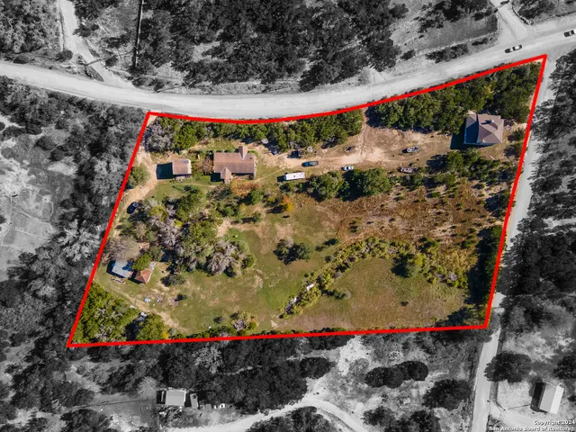 a view of a lot of flowers