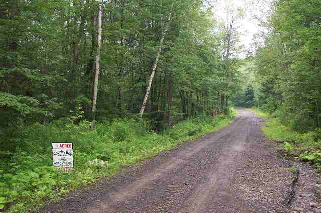 300 Tabor Road Schenevus, NY 12155 - Photo 1 of 2 Photo 1