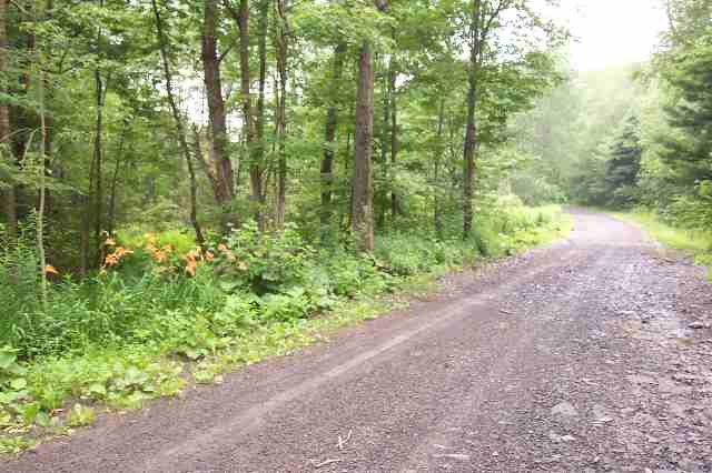 300 Tabor Road Schenevus, NY 12155 - Photo 2 of 2 Photo 2