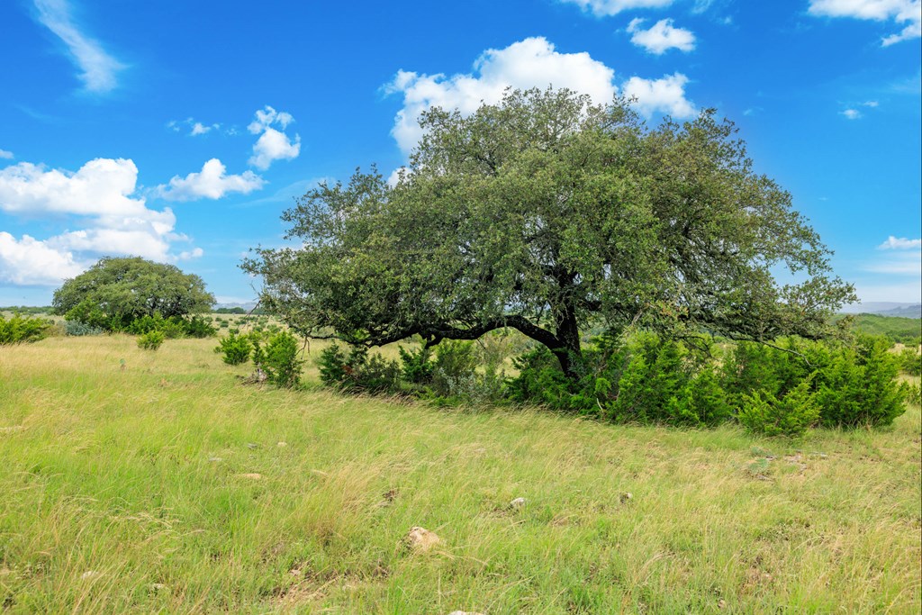 3814 Ranch Road Mountain Home, TX 78058 - Photo 38 of 44 Gallery Image 38