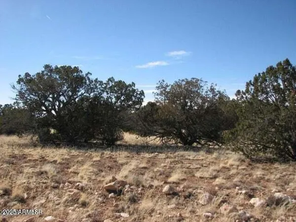 $27,900 | 6251 Dry Pasture Run, Unit 216, Heber, AZ 85928