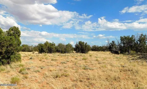 $27,900 | 6251 Dry Pasture Run, Unit 216, Heber, AZ 85928