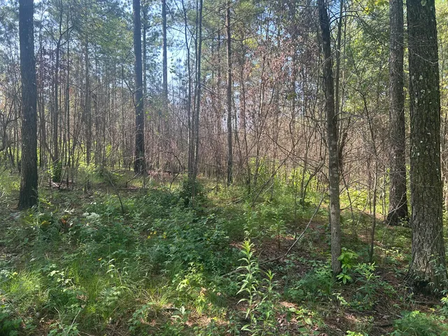 $215,000 | 520 Buck Crossing Way, Unit 1030, Guild, TN 37340