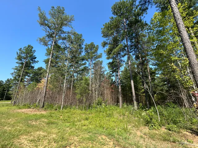 $215,000 | 520 Buck Crossing Way, Unit 1030, Guild, TN 37340