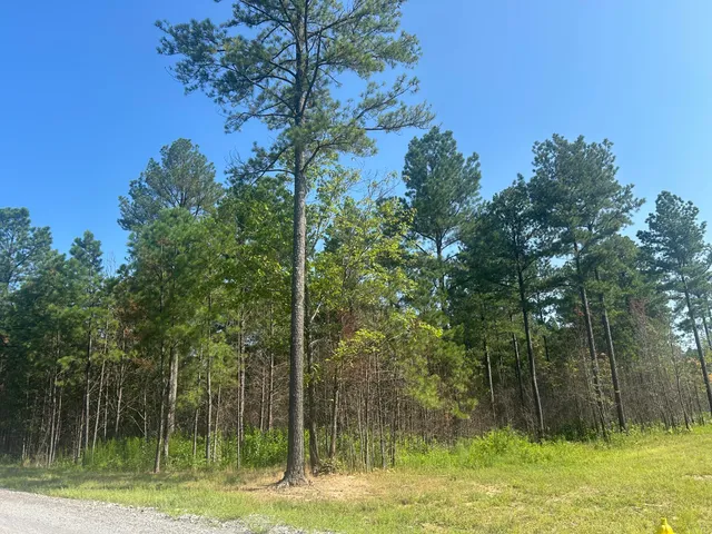 $215,000 | 520 Buck Crossing Way, Unit 1030, Guild, TN 37340