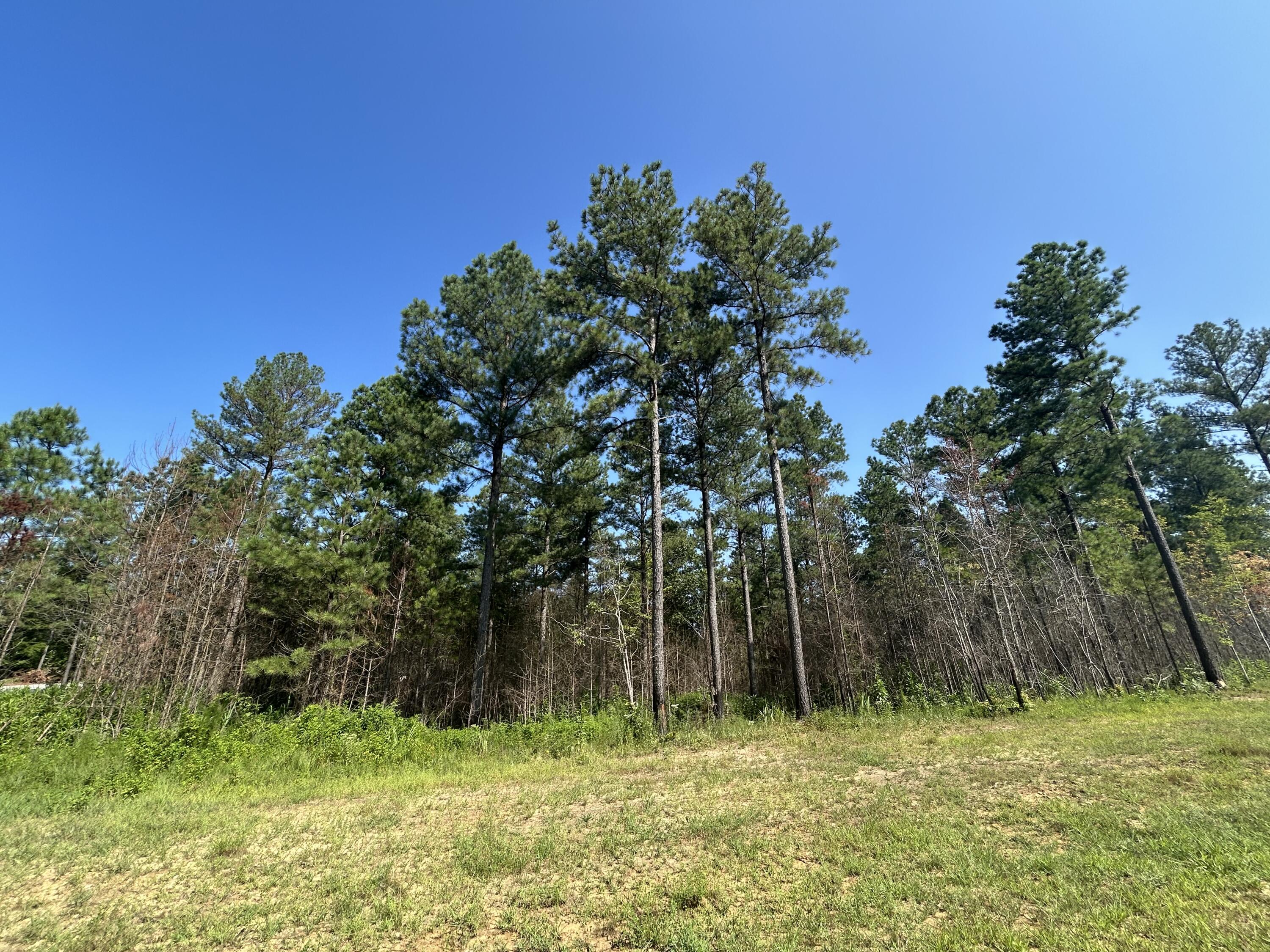 520 Buck Crossing Way, Unit 1030 Guild, TN 37340 - Photo 3 of 18 IMG_0683