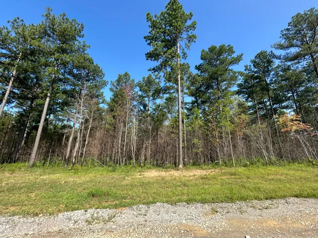 $215,000 | 520 Buck Crossing Way, Unit 1030, Guild, TN 37340