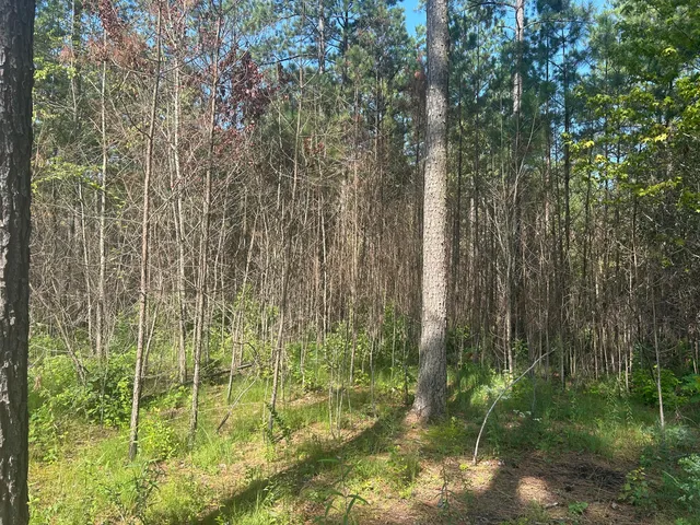 $215,000 | 520 Buck Crossing Way, Unit 1030, Guild, TN 37340