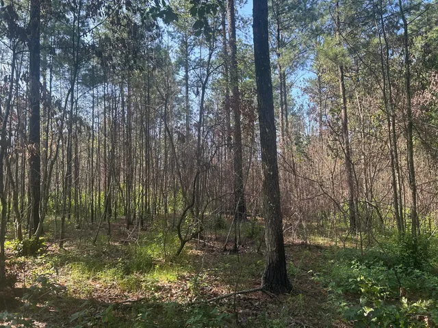 $215,000 | 520 Buck Crossing Way, Unit 1030, Guild, TN 37340