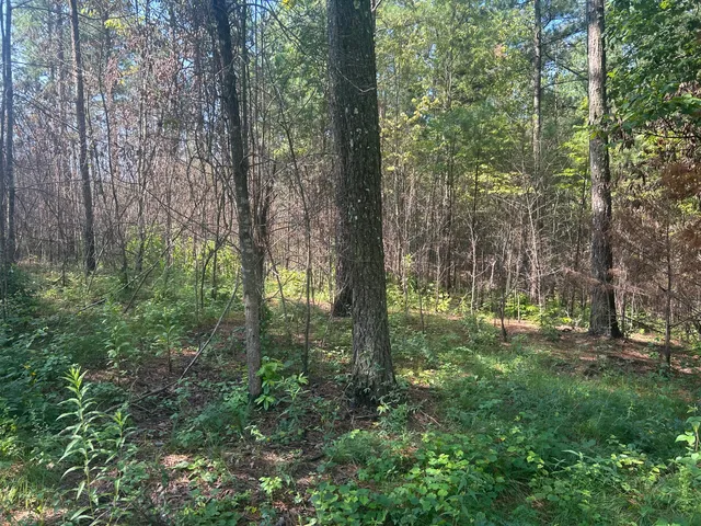 $215,000 | 520 Buck Crossing Way, Unit 1030, Guild, TN 37340