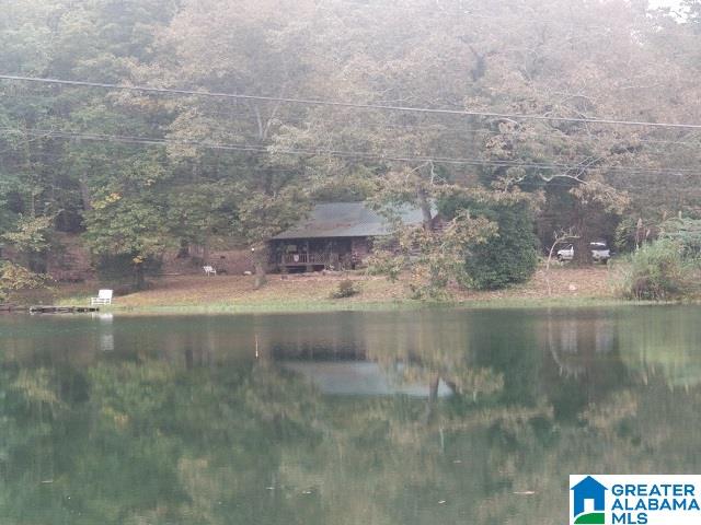 481 Aderholdt Mill Road Jacksonville, AL 36265 - Photo 6 of 10