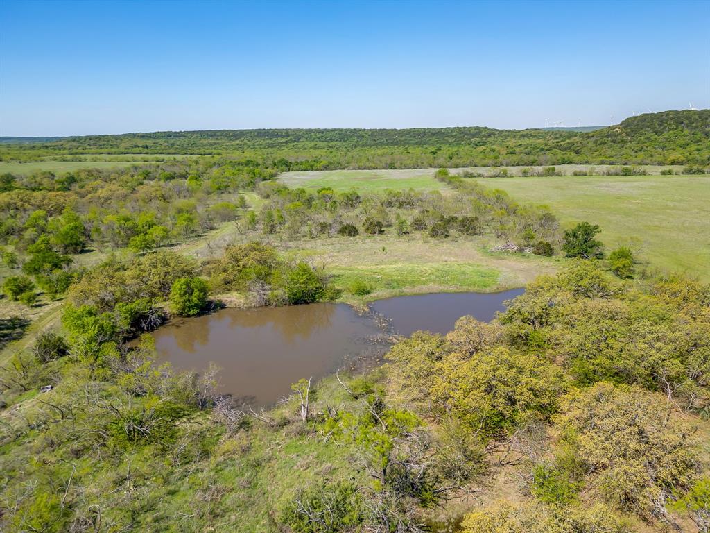 Tbd Teague Road Jacksboro, TX 76458 - Photo 4 of 33