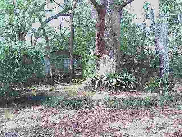 $1,300 | 1514 Majestic Avenue, Unit 1, Tallahassee, FL 32304