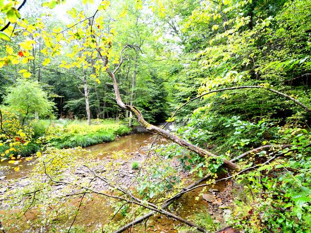 2317 Jackson Run Road Warren, PA 16365 - Photo 27 of 32 Gallery Image 27