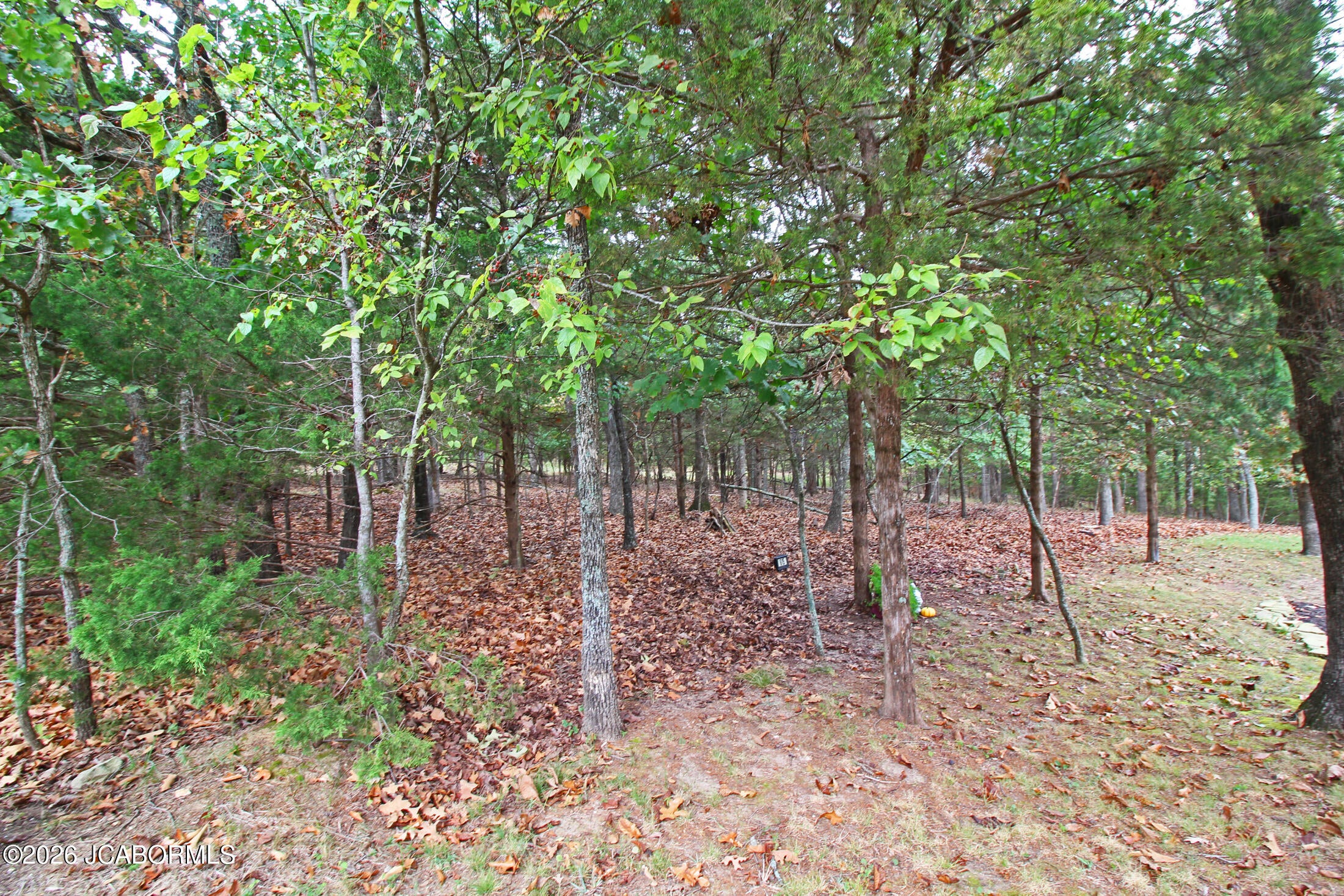 615 Cherokee Road Lake Ozark, MO 65049 - Photo 25 of 30 Gallery Image 25