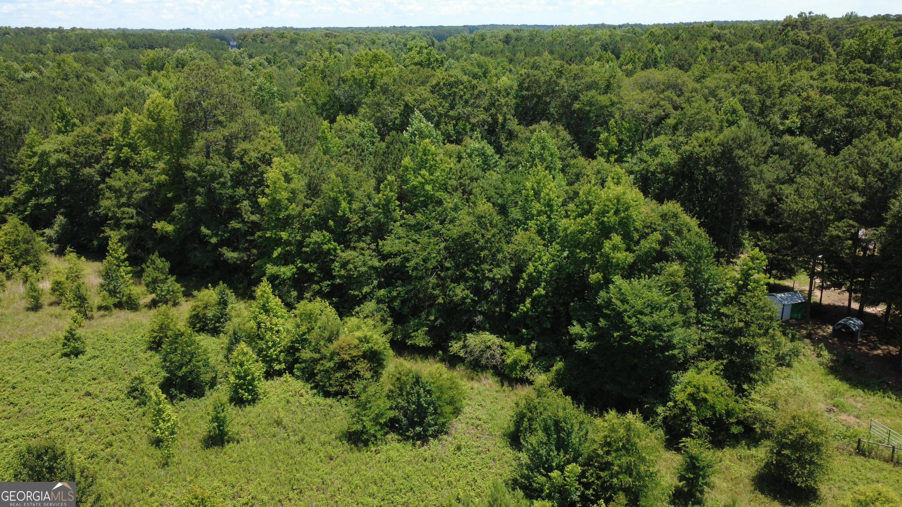 676 Linch Road Senoia, GA 30276 - Photo 13 of 35