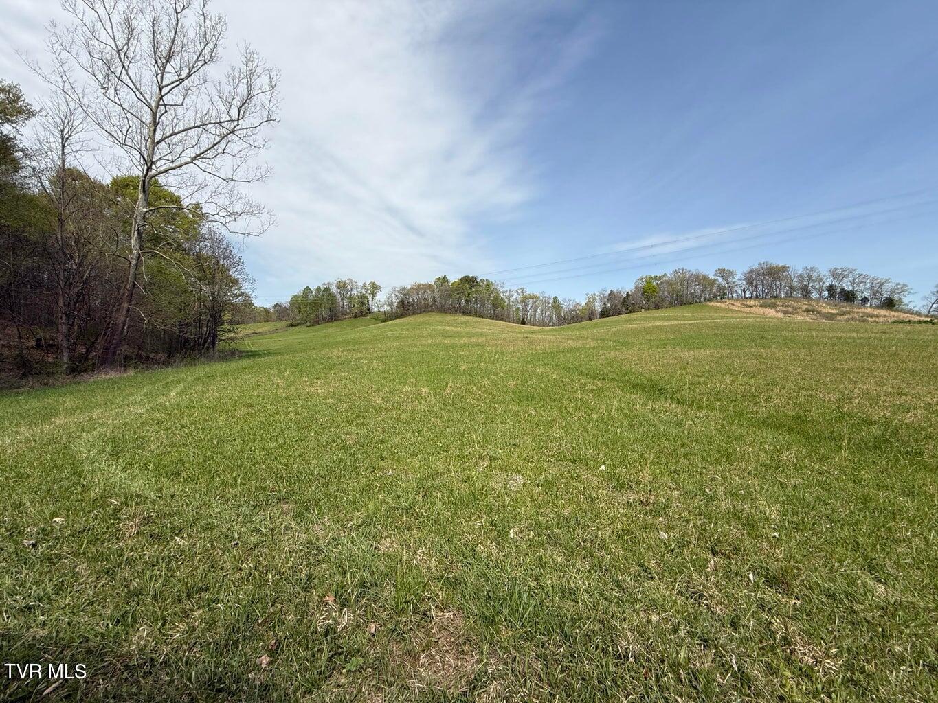 0 Longtown Road Bulls Gap, TN 37711 - Photo 17 of 34 20250417183825012020000000-o