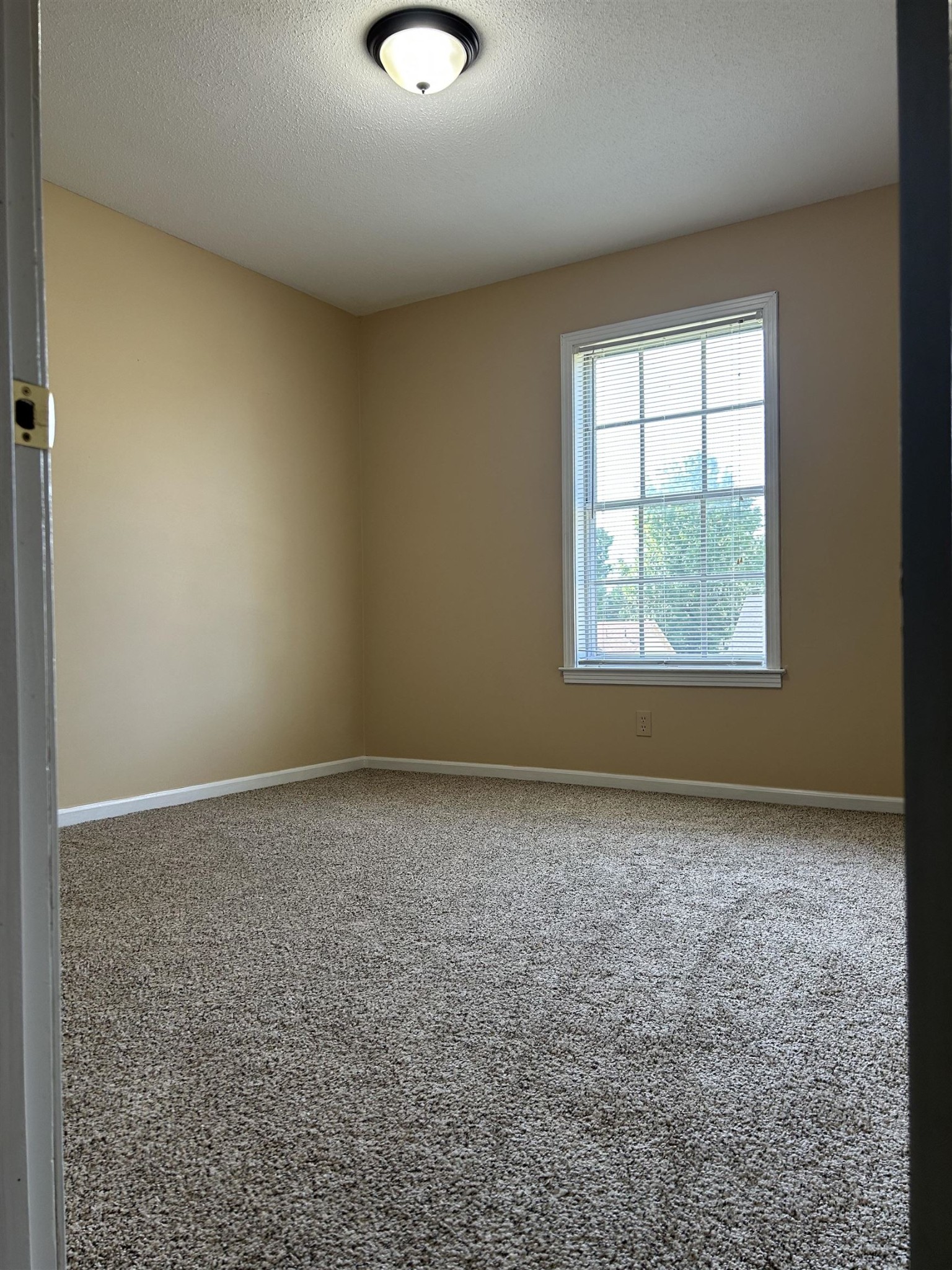 1763 Buxton Road Memphis, TN 38116 - Photo 18 of 28 Gallery Image 18