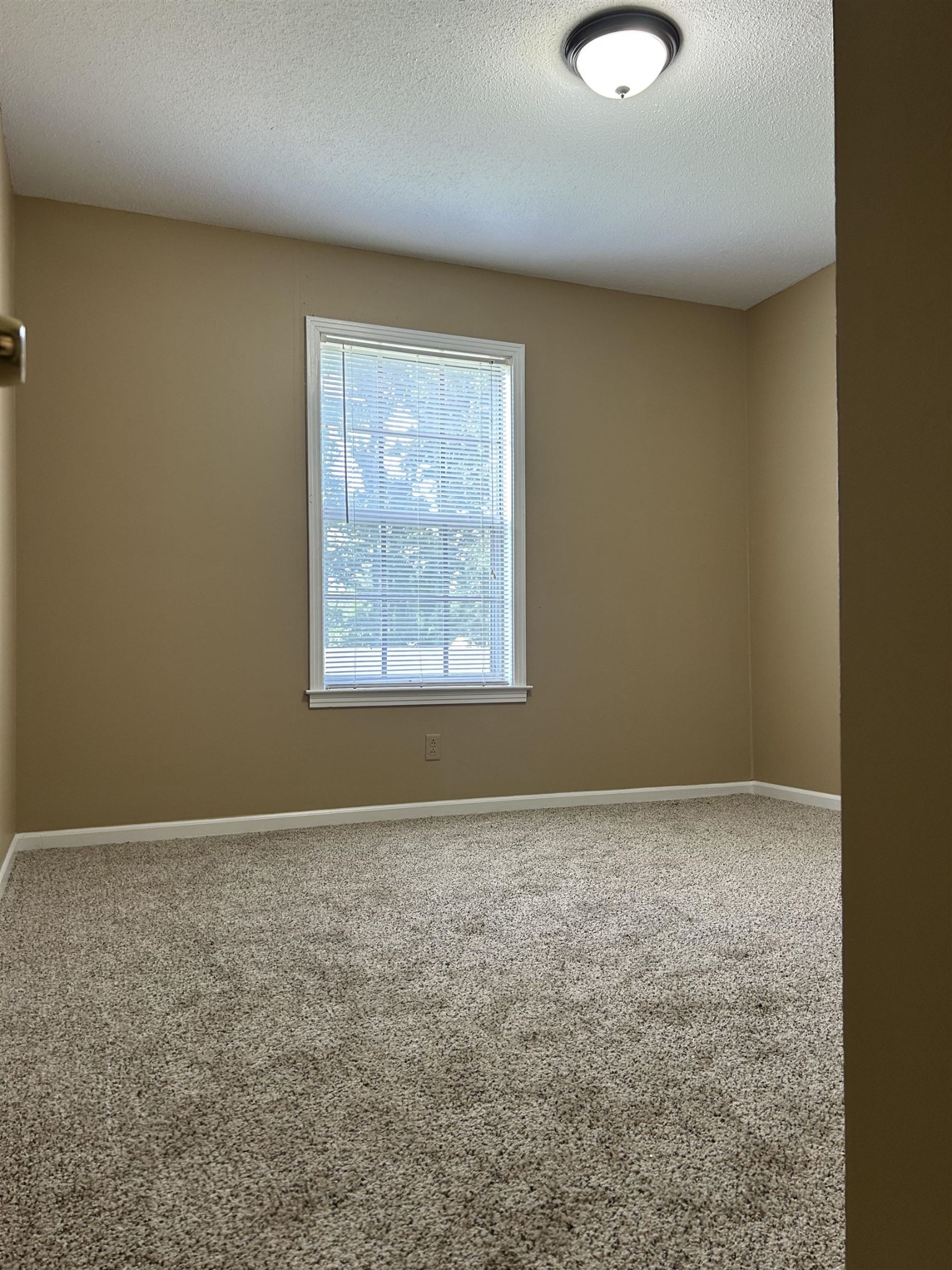 1763 Buxton Road Memphis, TN 38116 - Photo 4 of 28 Gallery Image 4
