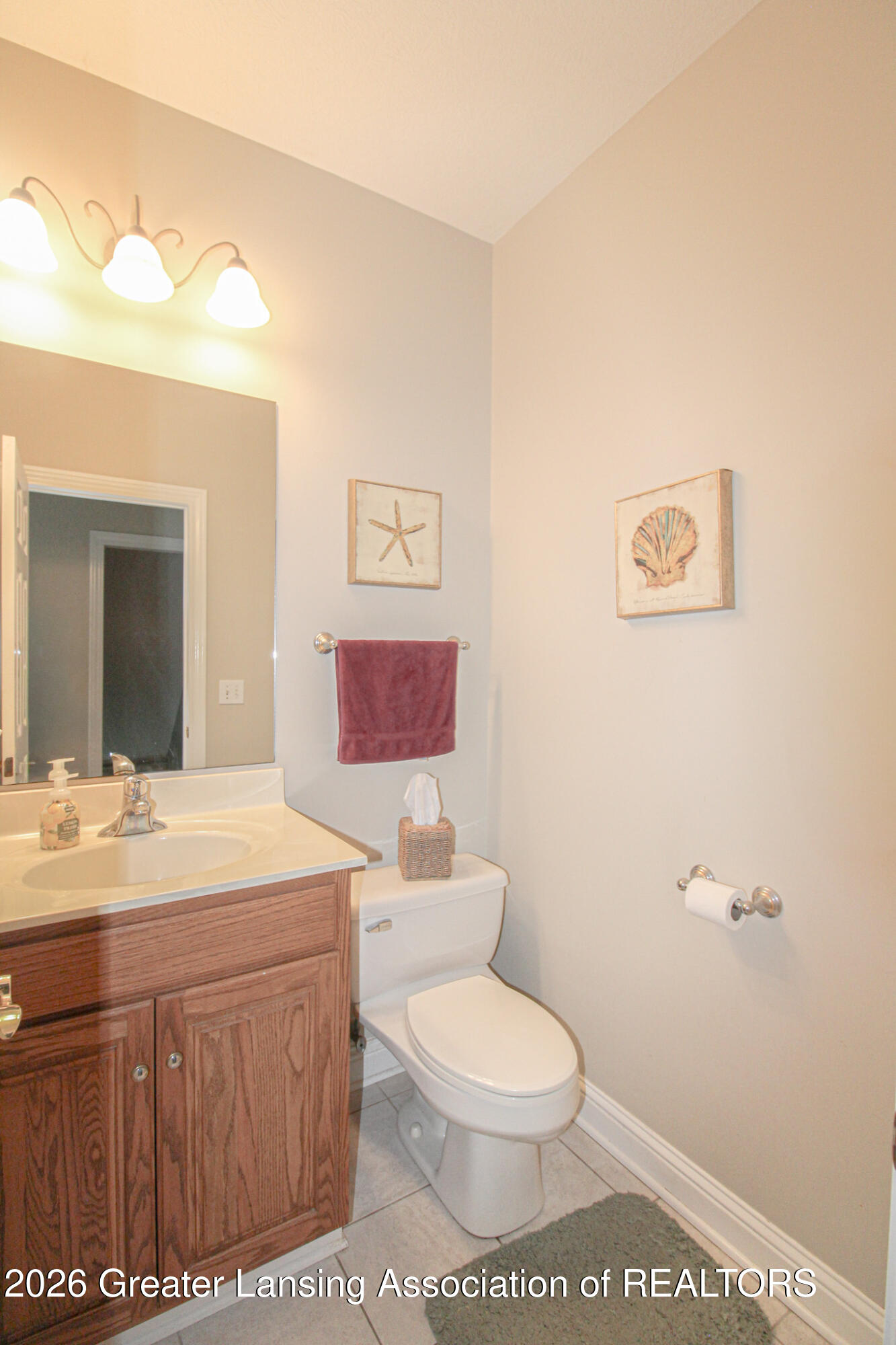 4198 Ryon Drive Olivet, MI 49076 - Photo 20 of 44 20 Half Bath