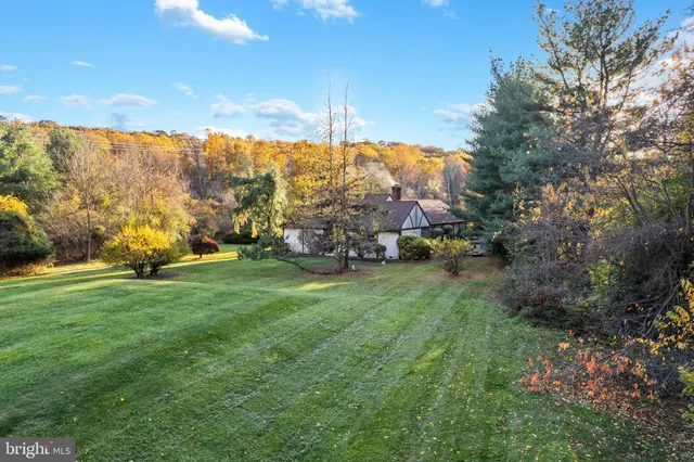 a garden with trees in the background