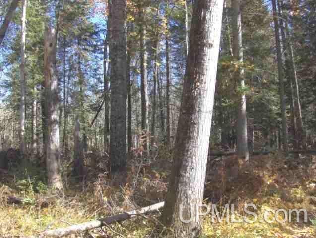 Tbd Irwin Road Baraga, MI 49908 - Photo 9 of 27