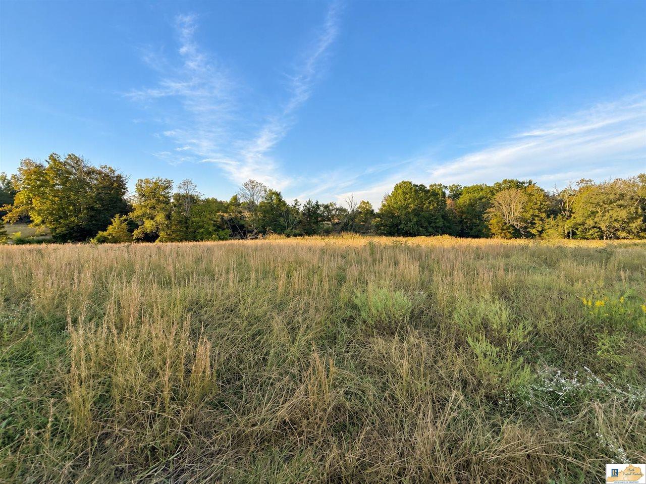 0 Stanley Syra Road Edmonton, KY 42129 - Photo 6 of 28 Gallery Image 6