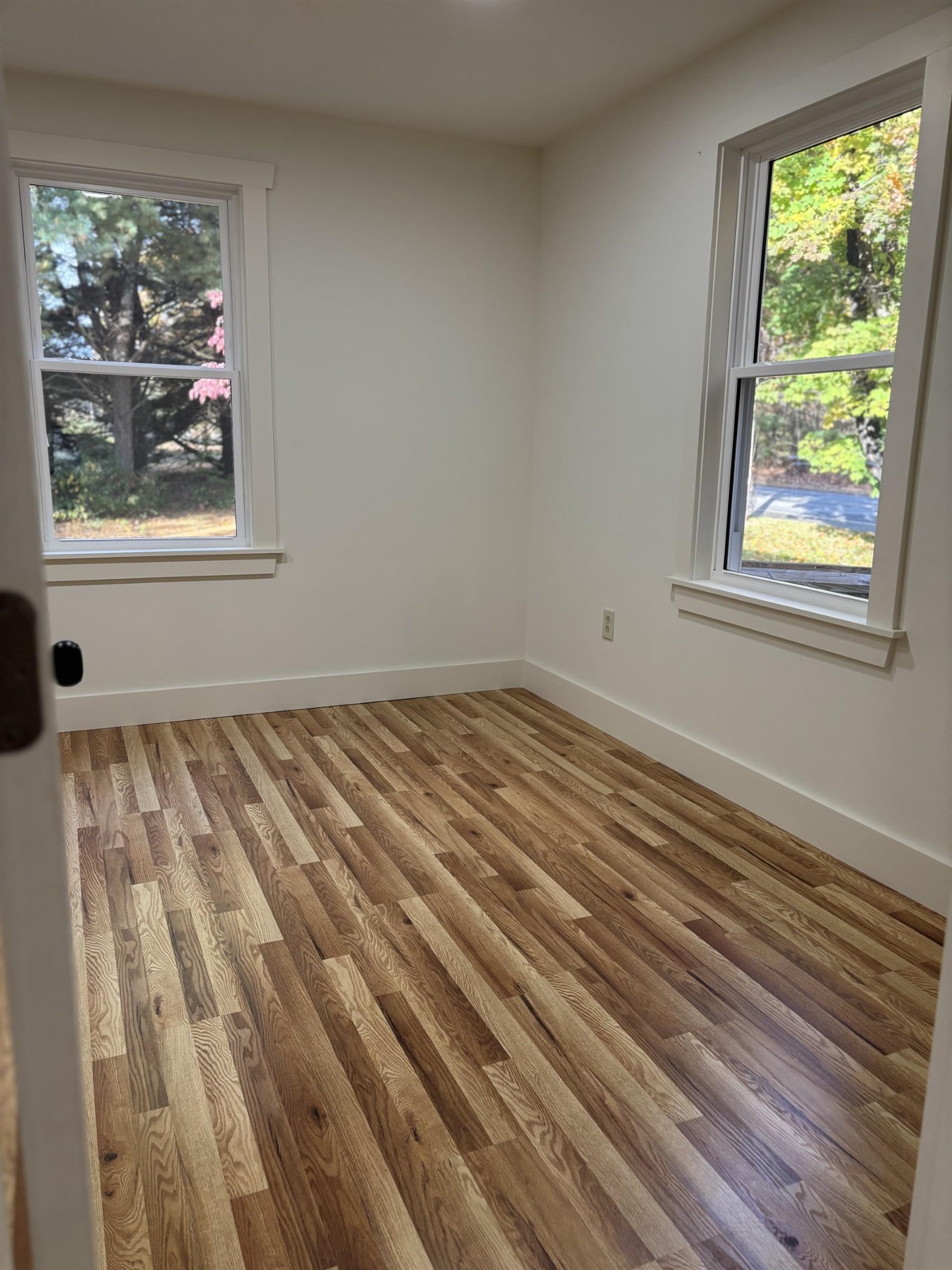 253 Hoffman Mill Road Belleplain, NJ 08270 - Photo 16 of 16