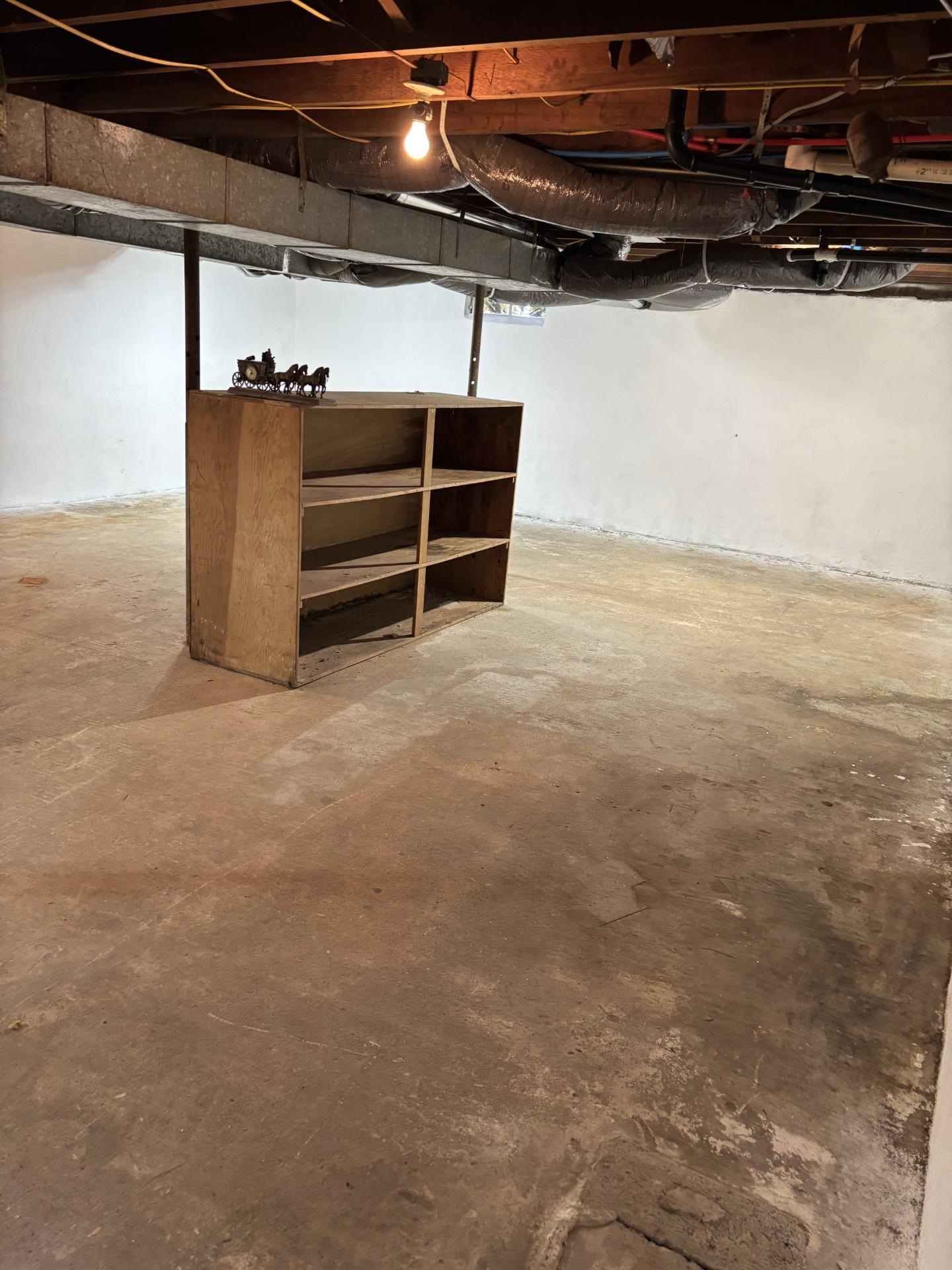 253 Hoffman Mill Road Belleplain, NJ 08270 - Photo 6 of 16