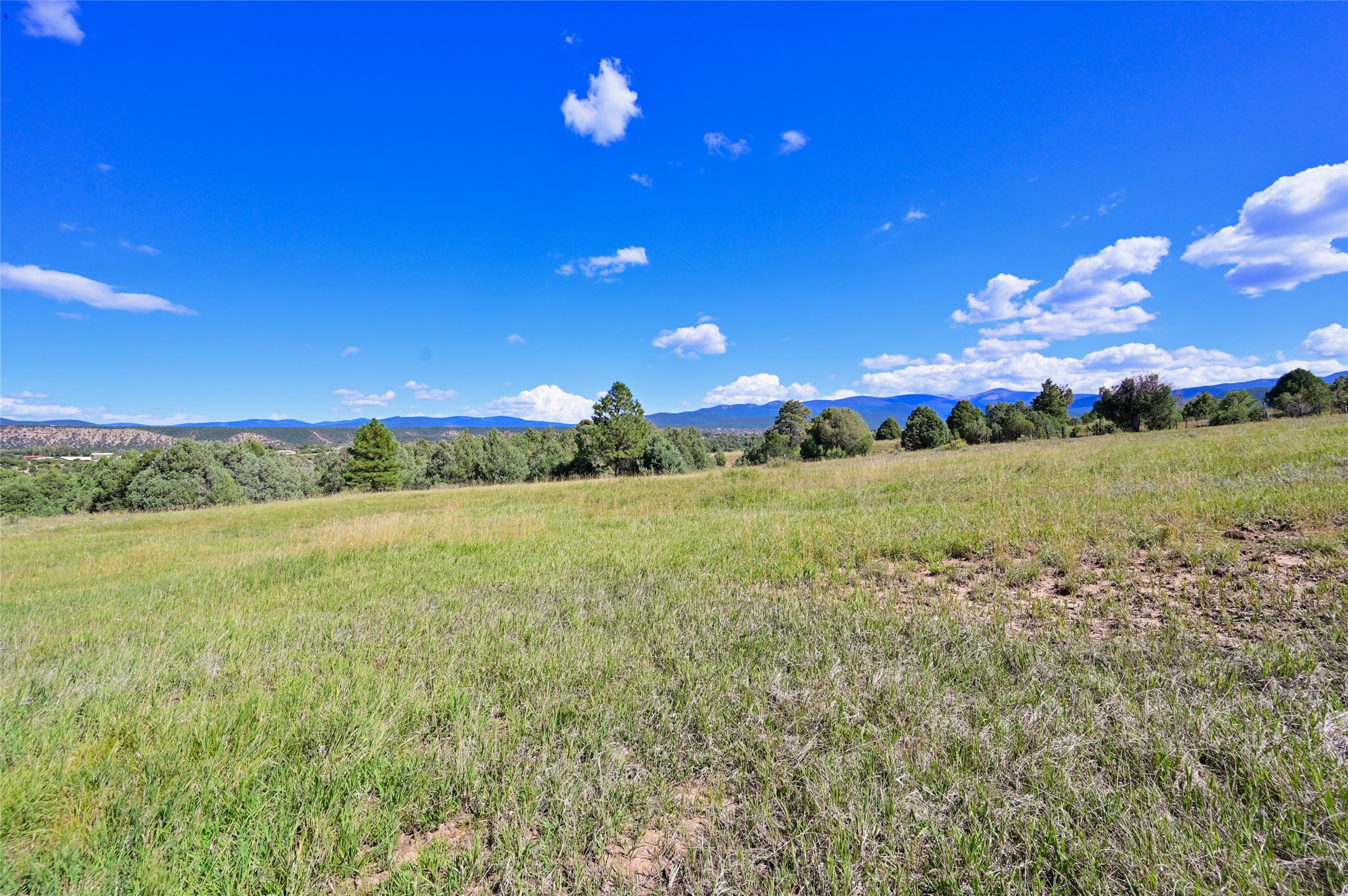 157 Pacheco Road Llano, NM 87543 - Photo 80 of 94
