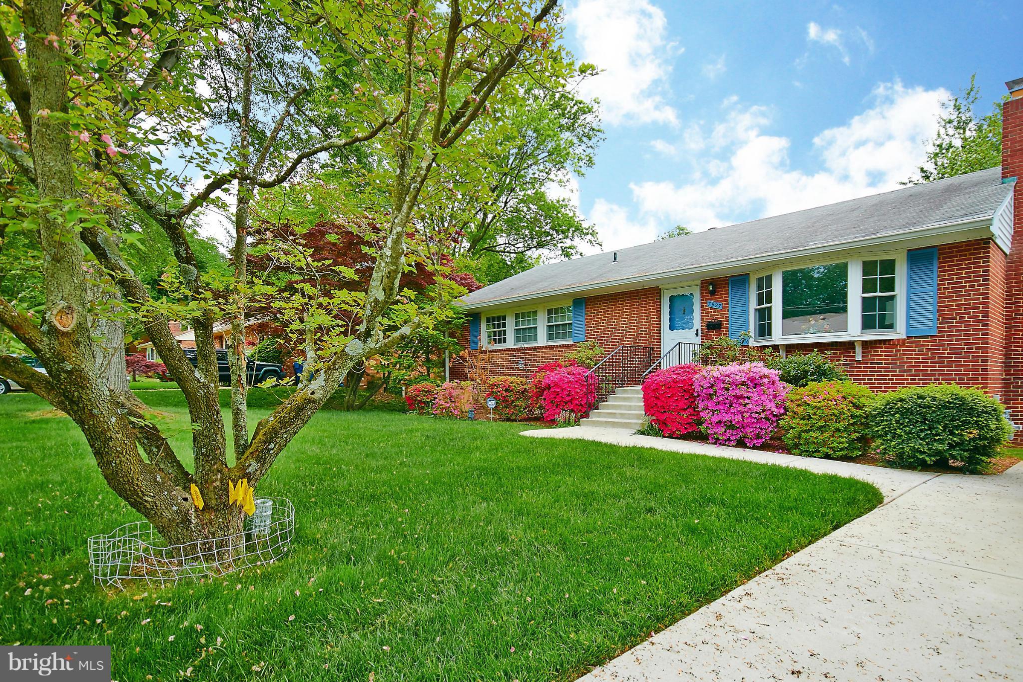 7927 Ellet Road Springfield, VA 22151 - Photo 3 of 30 a front view of a house with a yard and trees