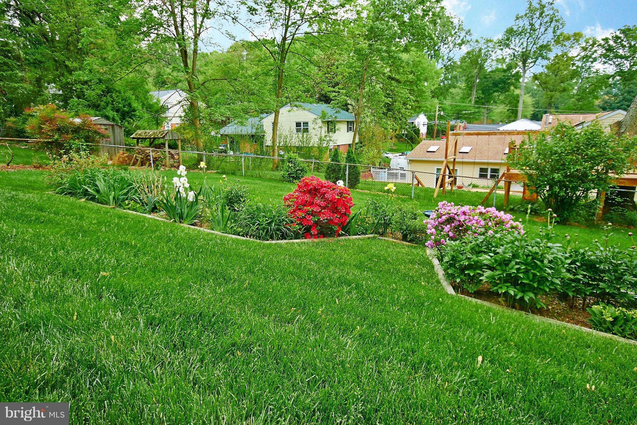 7927 Ellet Road Springfield, VA 22151 - Photo 29 of 30 a view of a garden with flowers
