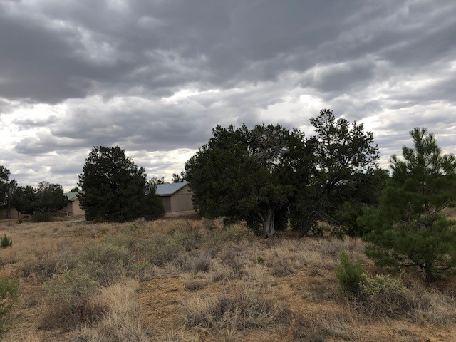 394 Candy Kitchen Road Ramah, NM 87357 - Photo 27 of 29