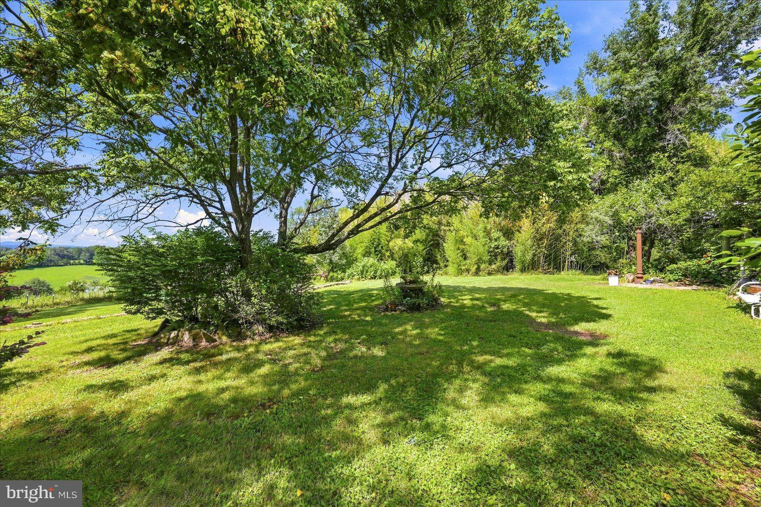 491 View Town Road Amissville, VA 20106 - Photo 14 of 18 Gallery Image 14