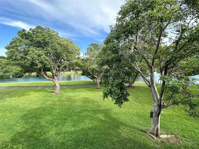 a view of a garden with a tree