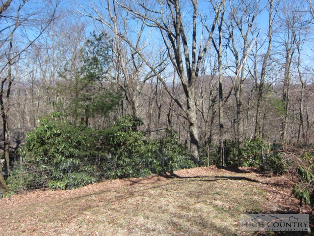 617 Teaberry Hills Road Boone, NC 28607 - Photo 16 of 25