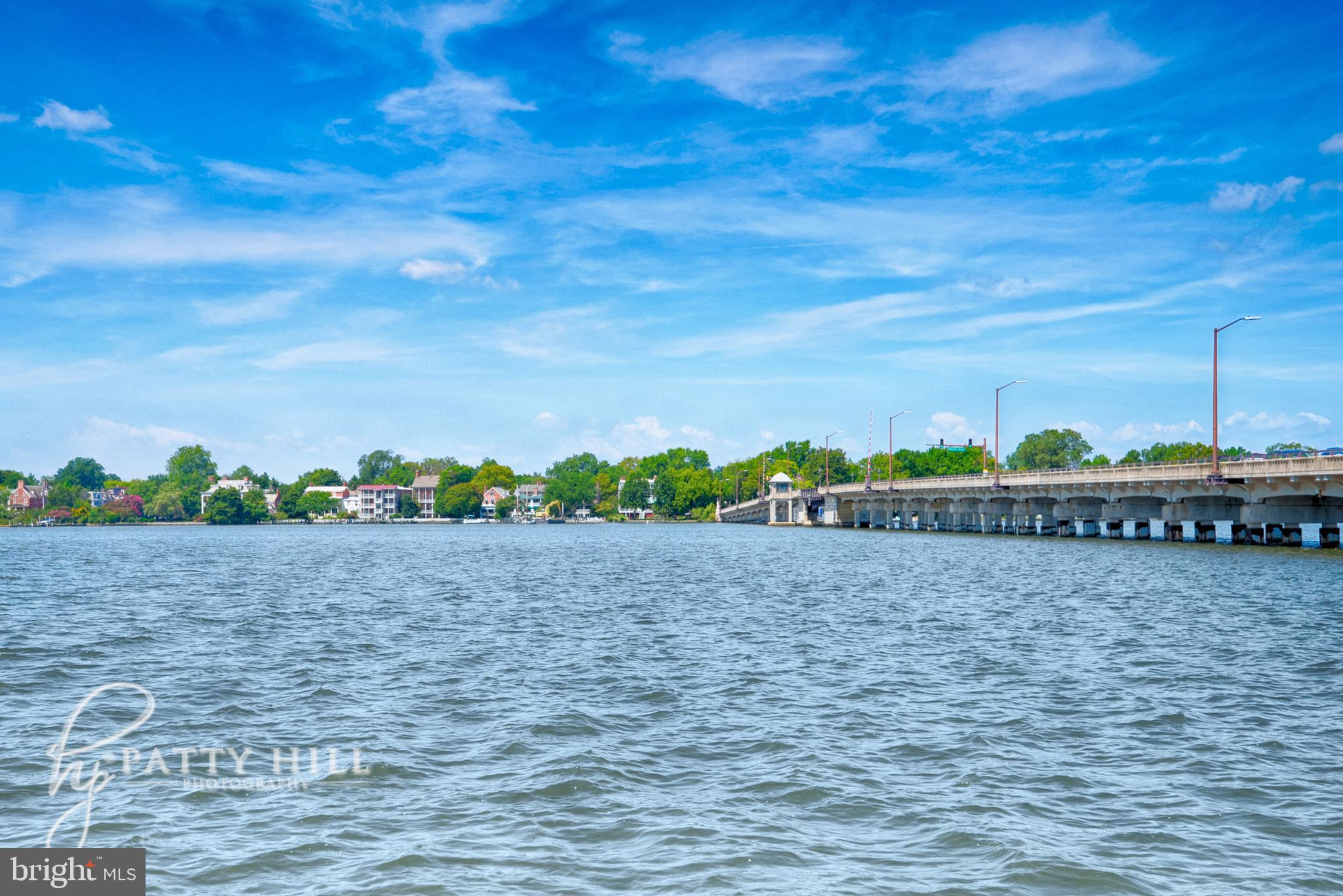 107 Oak Leaf Drive Chestertown, MD 21620 - Photo 9 of 36