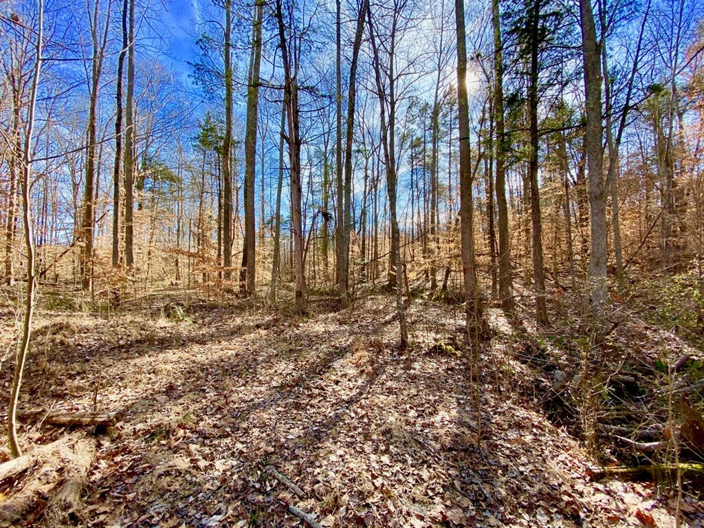 587 Schultz Mill Road Meherrin, VA 23954 - Photo 52 of 70 Gallery Image 52