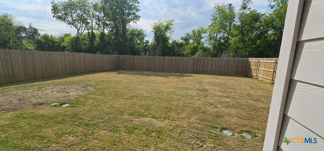2513 Rollett Drive Temple, TX 76504 - Photo 5 of 6 a view of backyard with tree