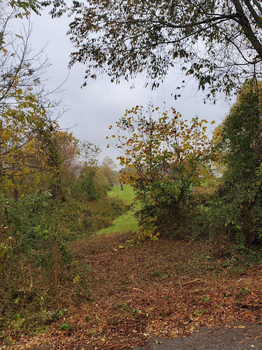 Tbd Copas Road Kingsport, TN 37663 - Photo 1 of 6 image000001