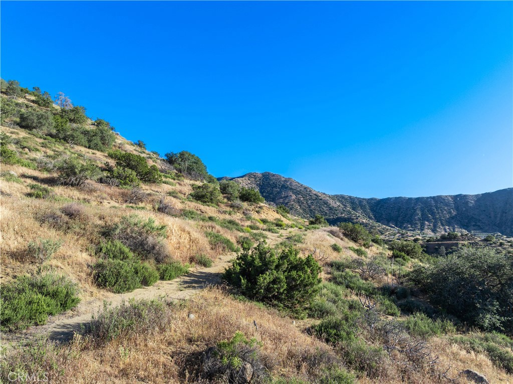 0 West Juniper Ridge Lane Palmdale, CA 93550 - Photo 5 of 22