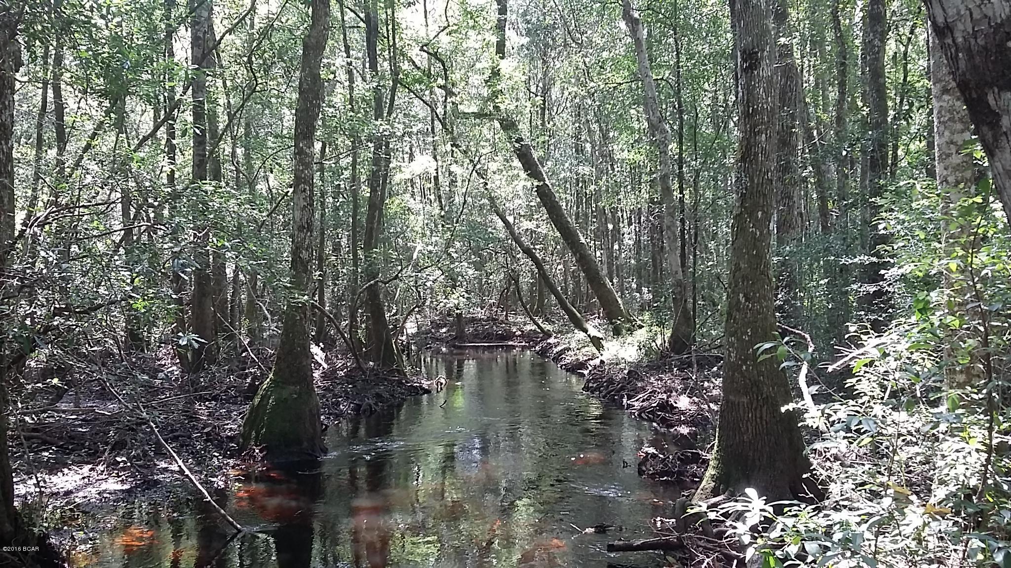 1519 Brunson Road Caryville, FL 32427 - Photo 11 of 19 Gallery Image 11