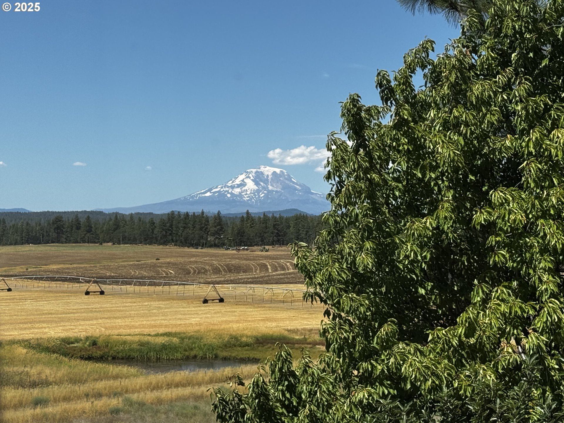 44 North Harris Road Goldendale, WA 98620 - Photo 28 of 36 a view of a swimming pool and a yard