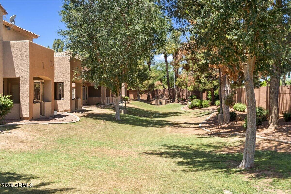 2600 East Springfield Place, Unit 87 Chandler, AZ 85286 - Photo 29 of 40 29-Must see to appreciate the wall of tr