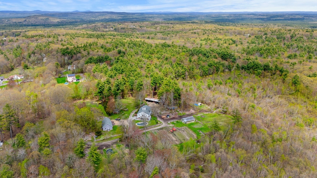 3 Brown Road Townsend, MA 01469 - Photo 2 of 41 a view of a lush green forest with lots of trees