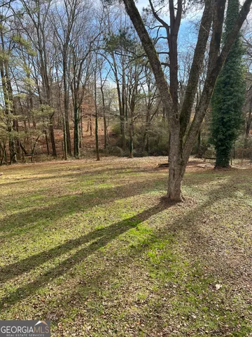 a view of a yard with a tree
