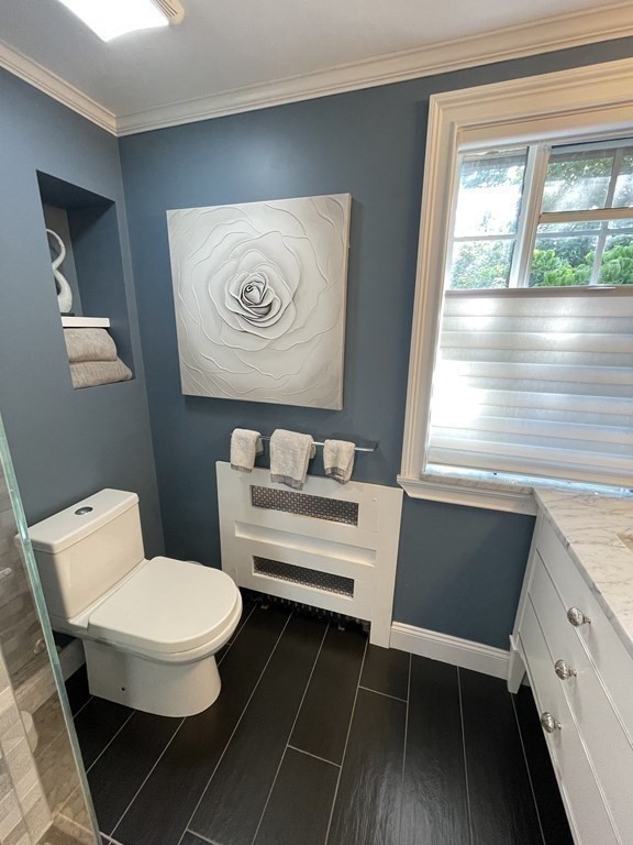 41 Goodnough Road Brookline, MA 02467 - Photo 25 of 36 a bathroom with a toilet a sink and a large mirror