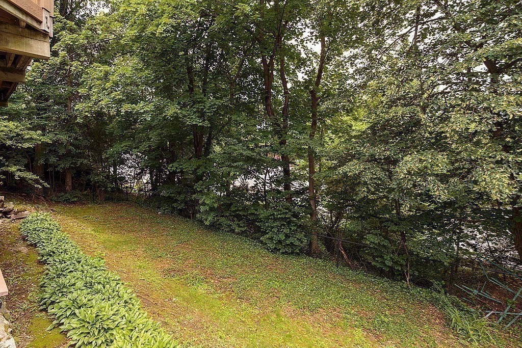 41 Goodnough Road Brookline, MA 02467 - Photo 34 of 36