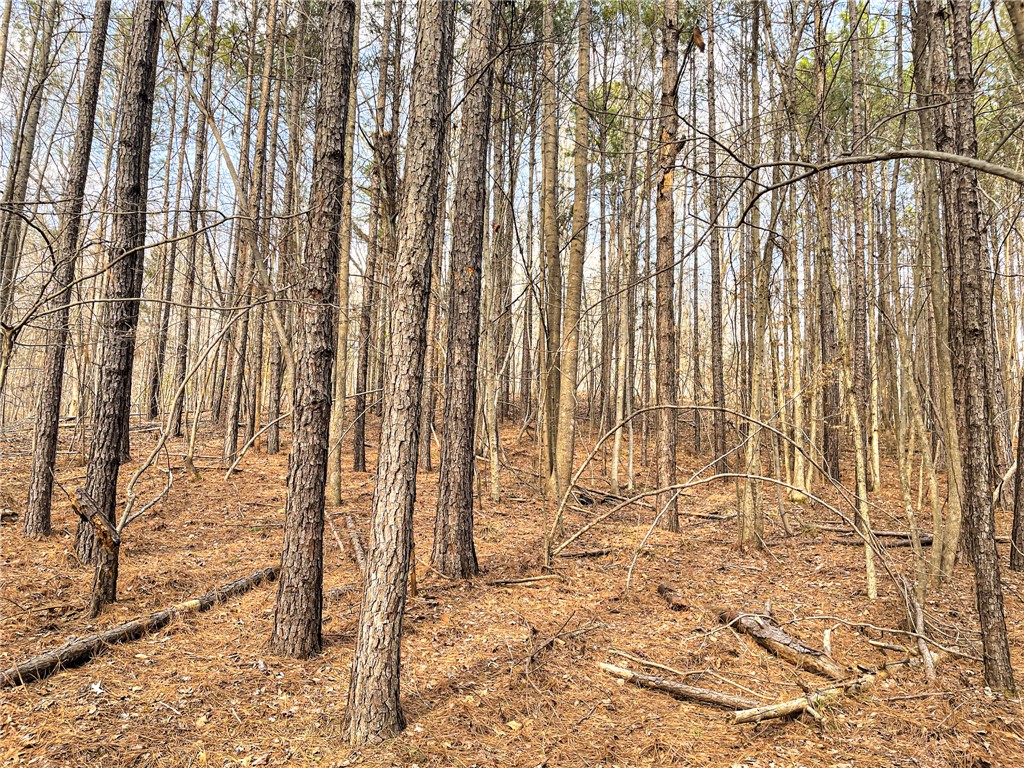 0 Lakeside Drive Union, SC 29379 - Photo 11 of 20