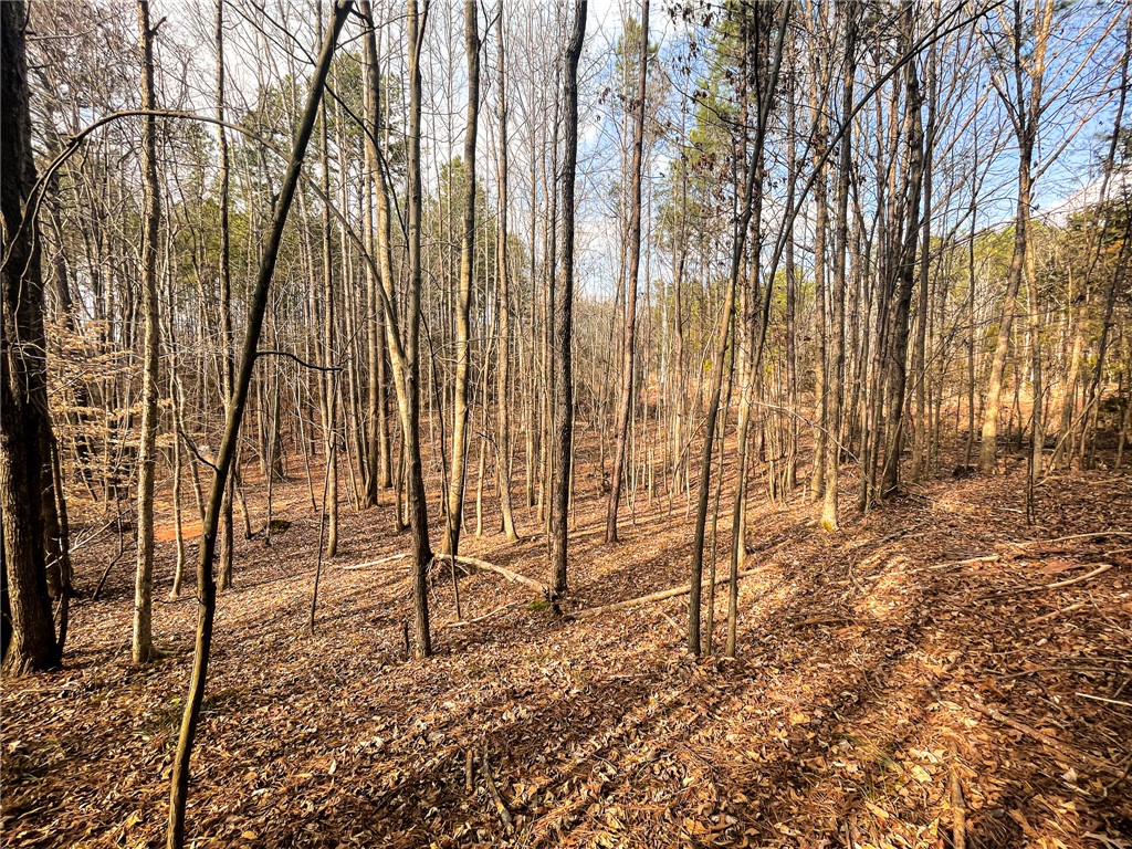 0 Lakeside Drive Union, SC 29379 - Photo 4 of 20